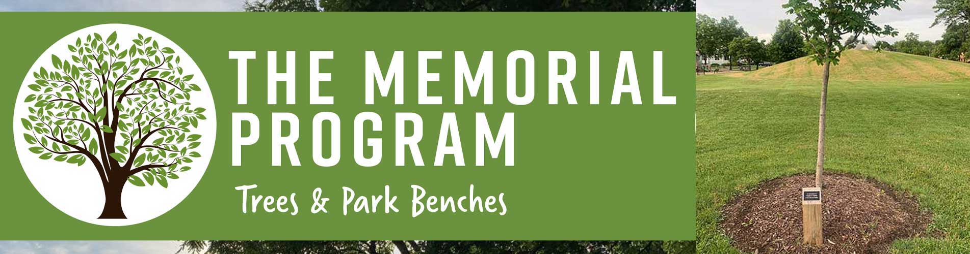 Tree/Bench Memorial Program