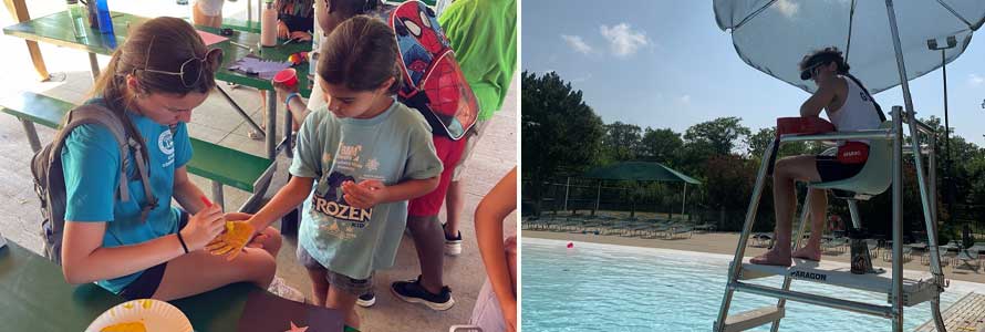 Employment & Volunteering